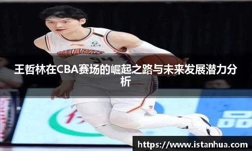 王哲林在CBA赛场的崛起之路与未来发展潜力分析